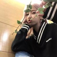 咎由自取 风吹起如花的流年，而