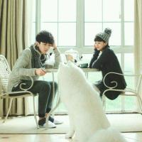 你在哪里起风还会回来么 像旧巷子里的猫我很自