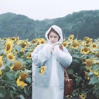 眉眼 那曾經的繁花盛事，也