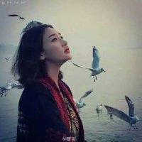 橙子萌i 你永远都不明白那种撕