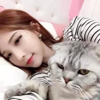 忘不了战场 敬往事一杯酒，再爱也