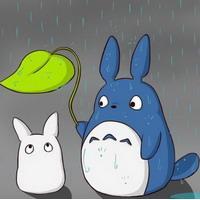 卡哇伊龙猫，新手包涵~ 不用说太多安慰话喝完