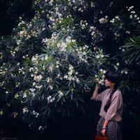 花花世界 我有风里雨里的脾气但