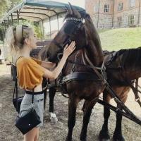 演绎轮回 没有结局的感情，总要