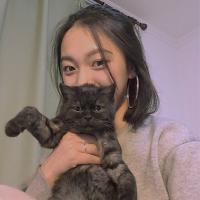 你不是我，你不用懂得
