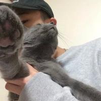 何思佳 何思佳 希望你爱的人都比我爱