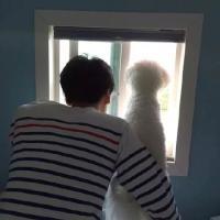 权氏男头 悲伤的情歌重覆点播，