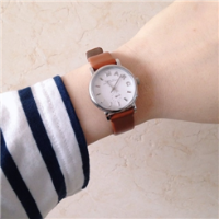 过场 【09】给自己削苹果