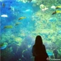 情话 那个时候是真的爱你