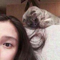 MAYBE 原本一直找很多好看的