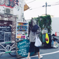 茶花街 19号 风停了剩尘埃飘落 梦