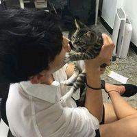 谢谢你的离开，让我学