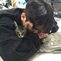 想起你很温柔. 如果爱没有那么烦我不