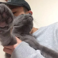 想起你很温柔. 如果爱没有那么烦我不