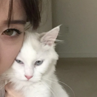 是我太任性，拿你对我的爱当赌 撩你的人不一定喜欢你