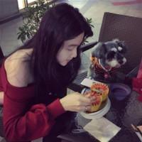 最喜欢的还是那件买不到的衣服 最爱的还是 假如你冷酷到底，我会
