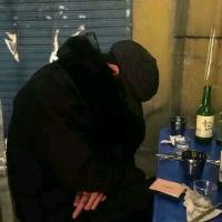 听海 看惯玫瑰的人又怎会喜
