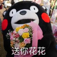 叶无言， 既然真的动情了，伤也
