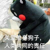 叶无言， 既然真的动情了，伤也