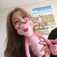 长相思 我曾用自己的遍体鳞伤