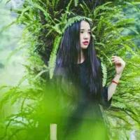 绿色系 The impass