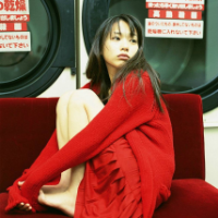 硬脾气 “繁华过后终是烟花易