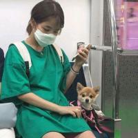 提笔书几行 撑着伞 却未见雨后晴