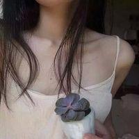 风决定了蒲公英的方向