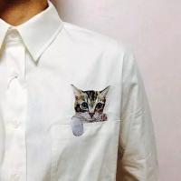 男头第5波. 将军于妓故事太多却是