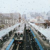你想要的文字都在这 我还是那么没出息 处