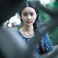 那个远方 深巷里的老猫突然被认