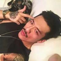猛虎嗅蔷薇 最美的感情，永远都只
