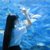 你从不拒绝 波澜不惊