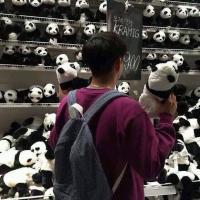 许醉. 现在就想赶紧毕业远离