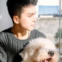 许醉. 现在就想赶紧毕业远离