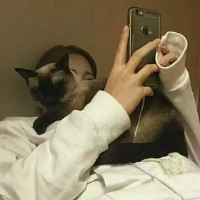 一只林 多年后，你还是我的伤