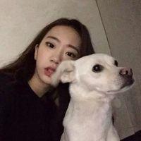 花已经谢了 再去浇水