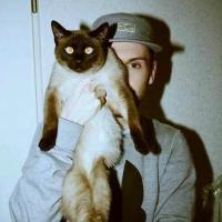 Mr.Cat 请享受毕业后无法挽回