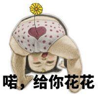 小宝呀 喜欢阳光是因为它很暖