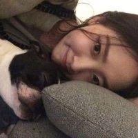 道理是相同的你喜欢就甘愿 你就像一匹野马驹子始