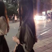 简讯 春风初生 春林初盛