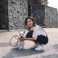 与不合的人假装作乐我