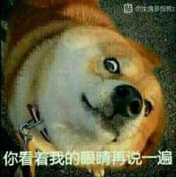 记忆，深入骨髓，伴随