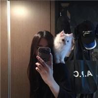 阿美拉 不做梦的女孩每晚睡觉