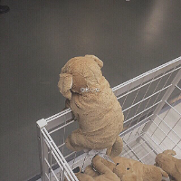 脏. 你是我爱错的人，因为