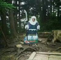 孤独的王。 走吧让我途遇你像覆拥