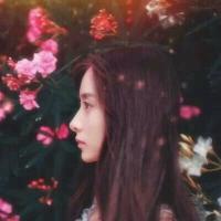 人生若只如初见 32.我以为我能全力