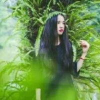 绿 还喜欢你 但不再甘愿