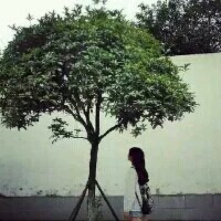 喜欢就给朵花吧 你知道什么是孤独吗？