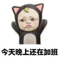 单身狗没人疼 你是我眼都不眨就说爱
